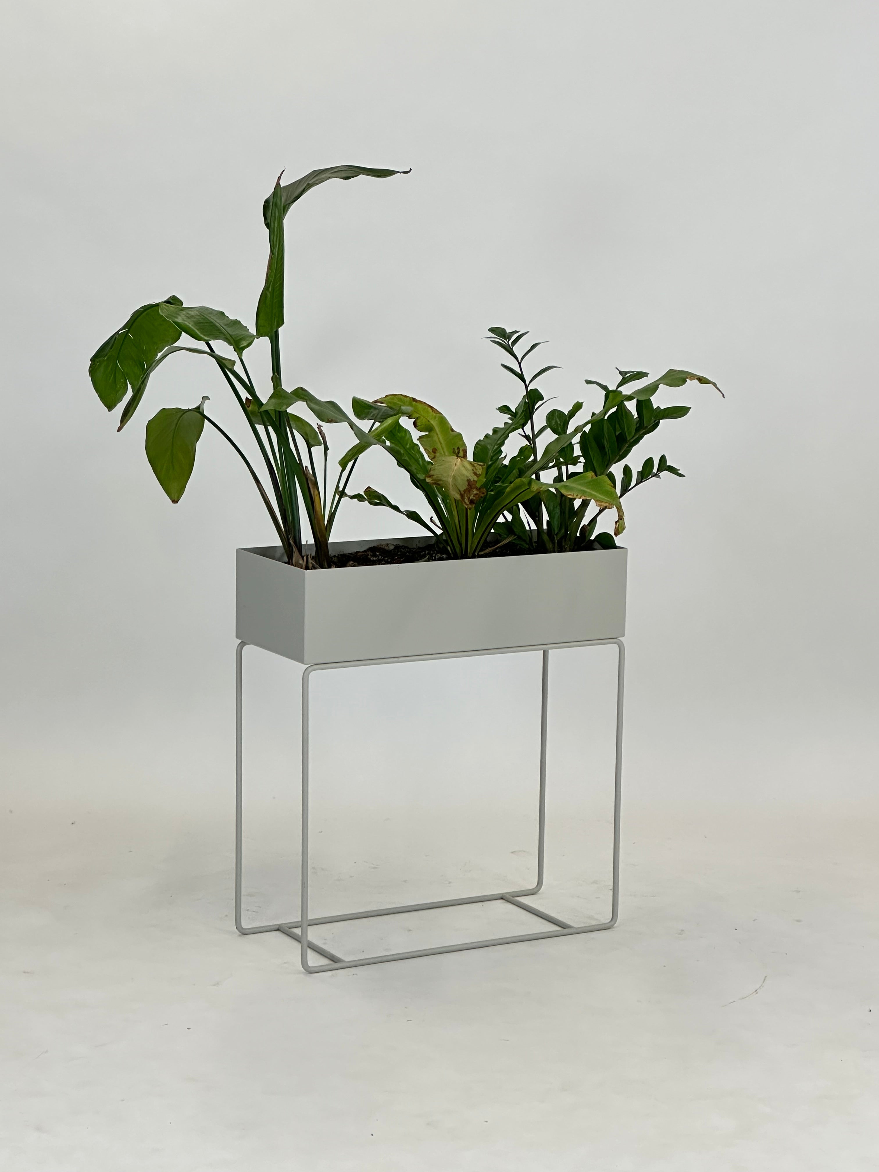 Moderne Plantekasse