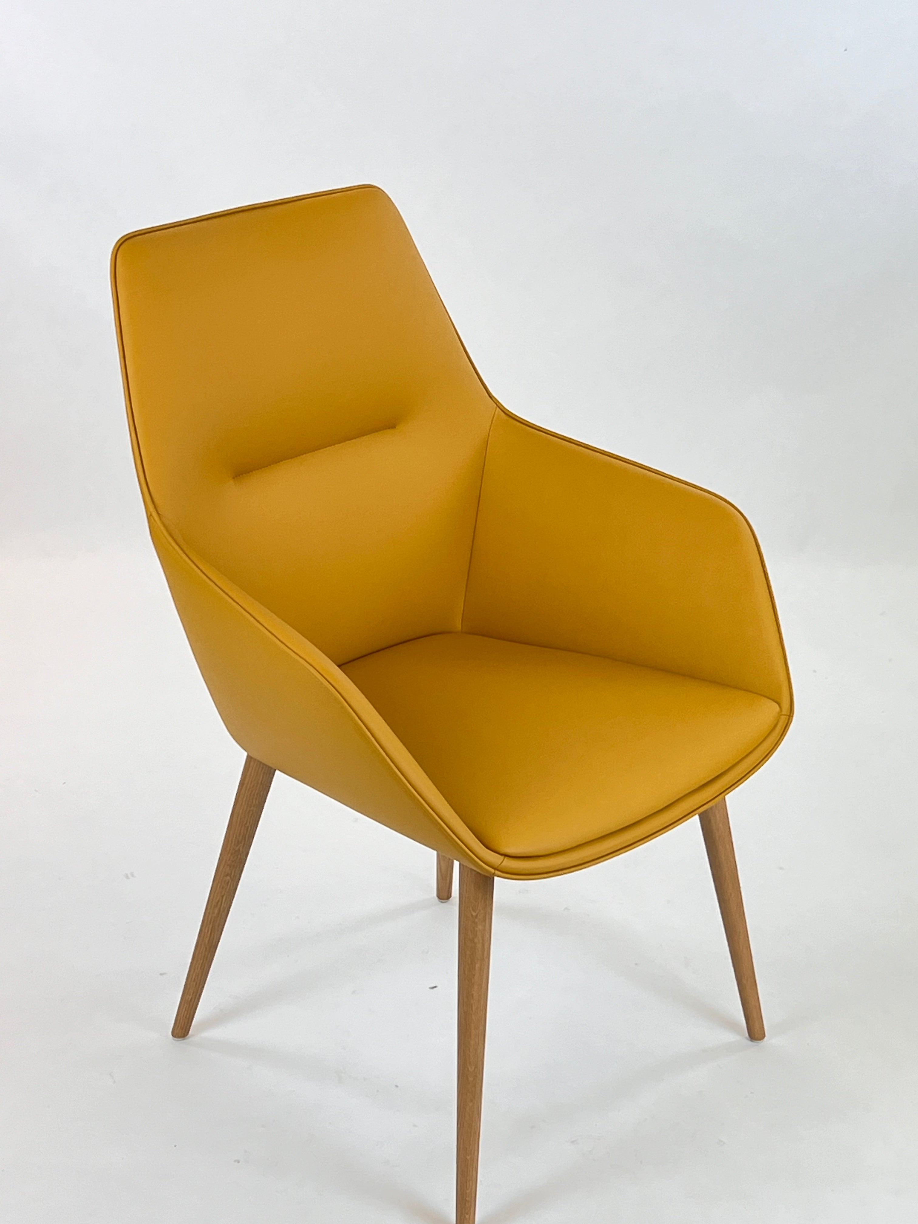 Brunner Ray Soft