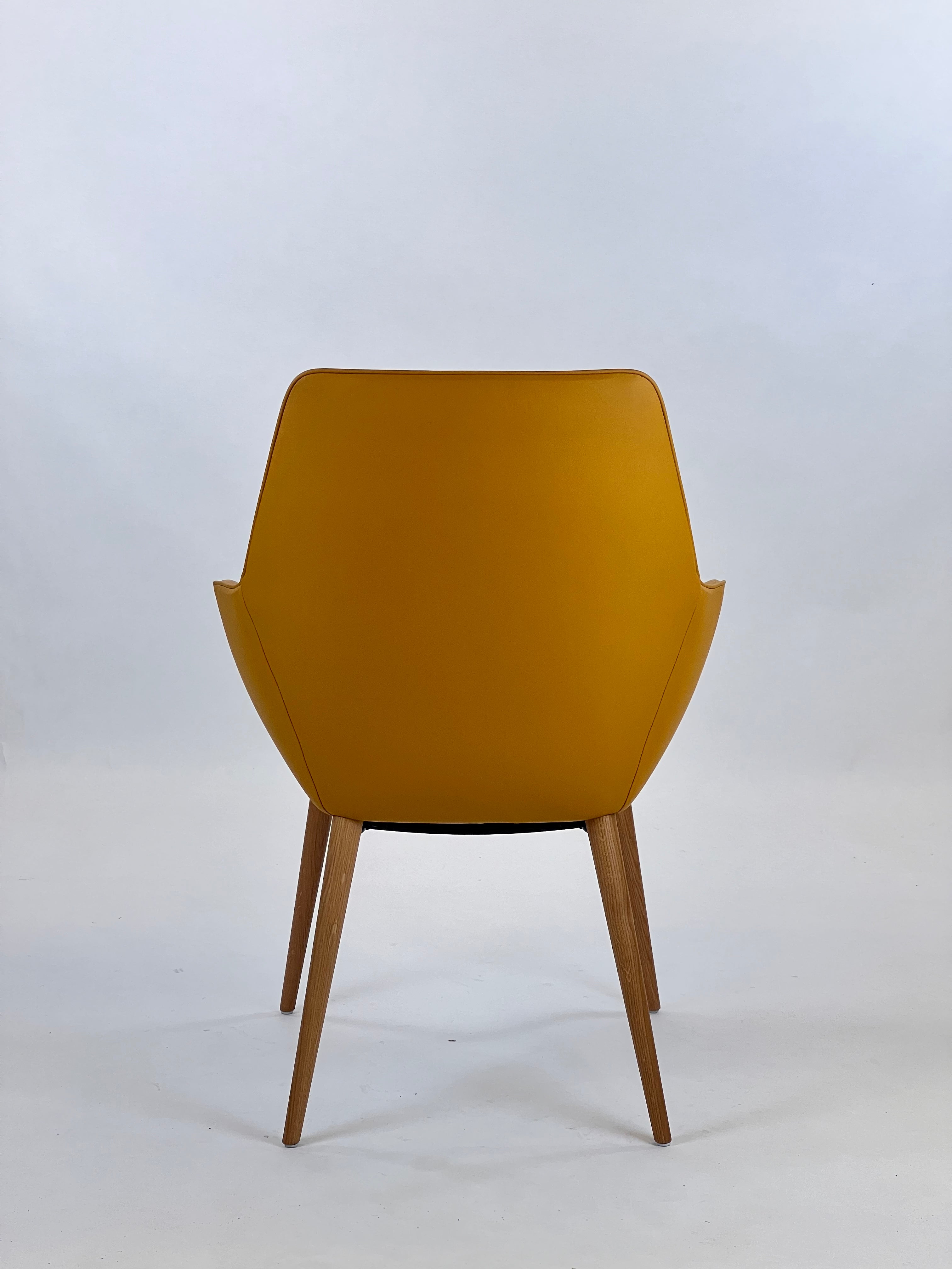 Brunner Ray Soft