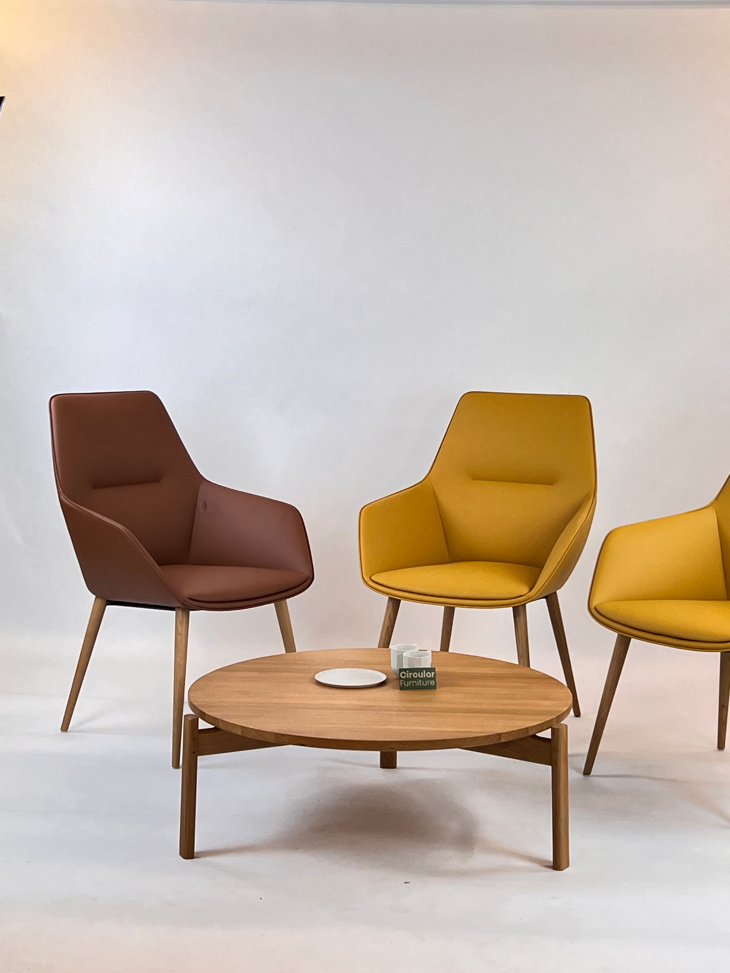 Brunner Ray Soft