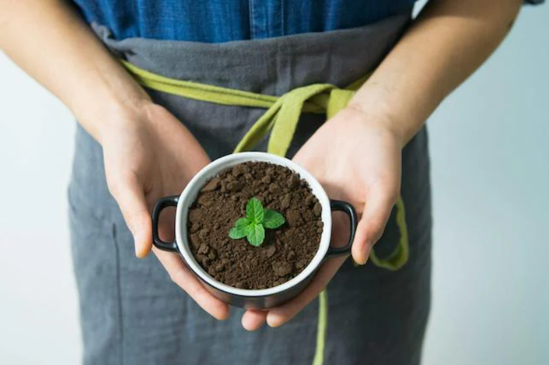 Sådan påvirker vores forbrug af møbler miljøet