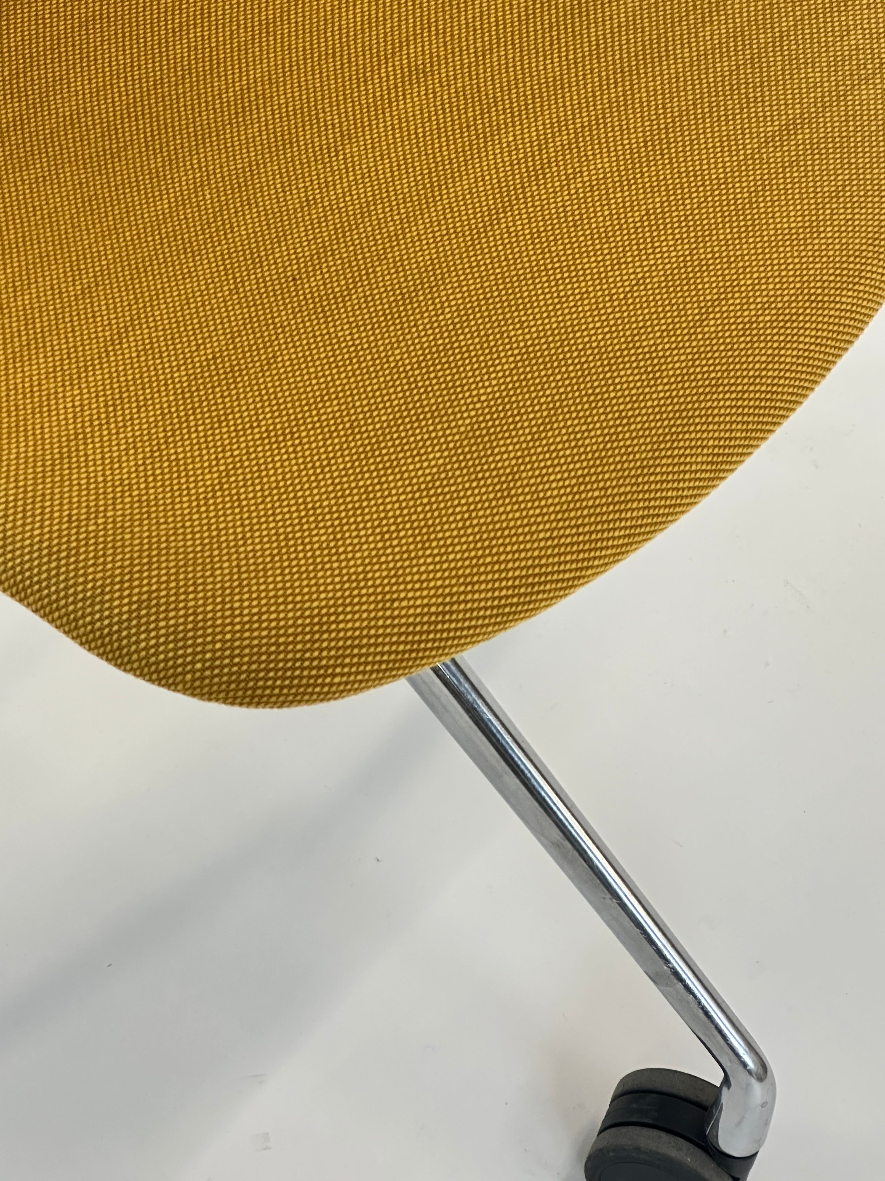 HAY AAC15 (Mustard)
