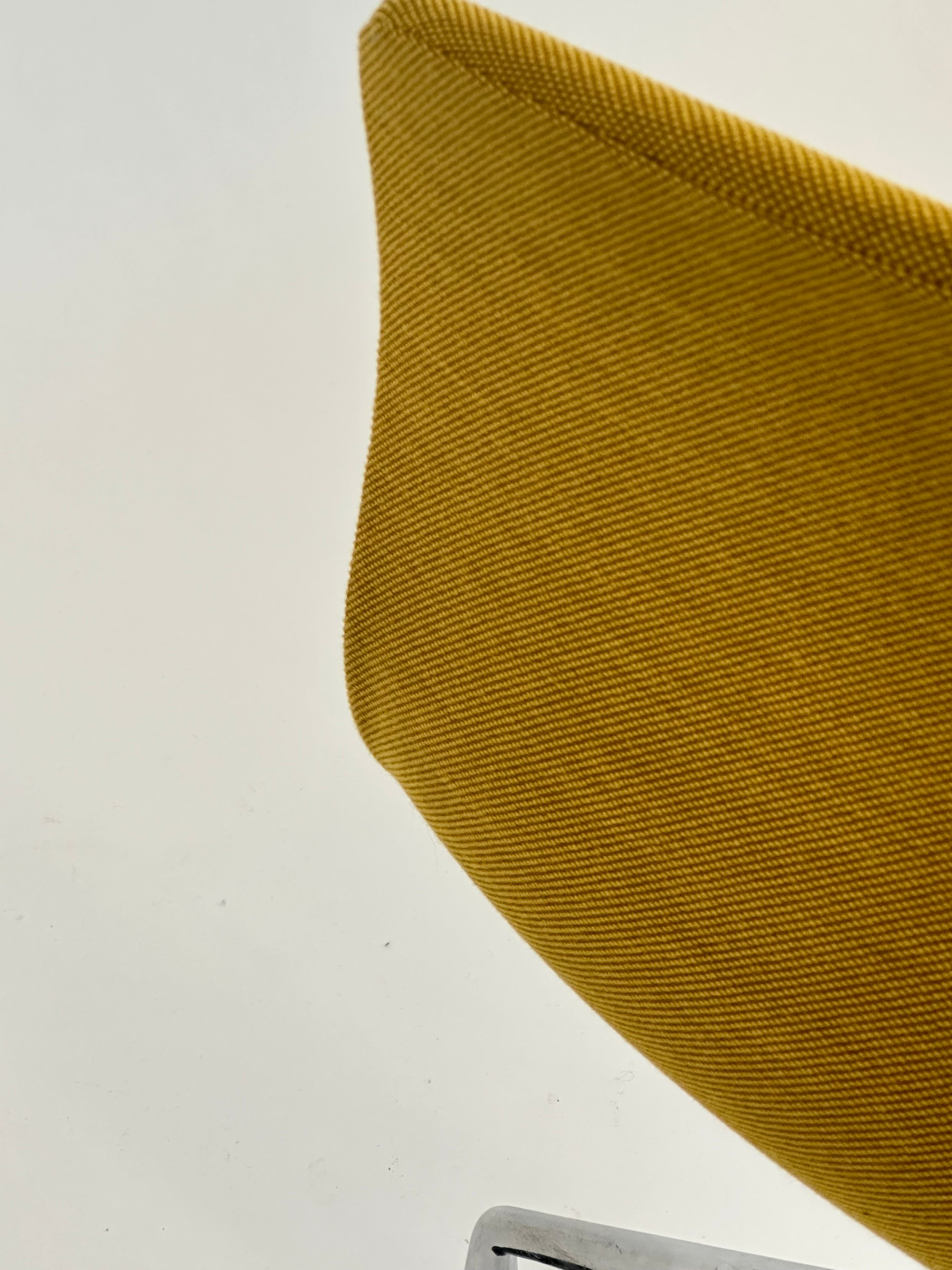 HAY AAC15 (Mustard)