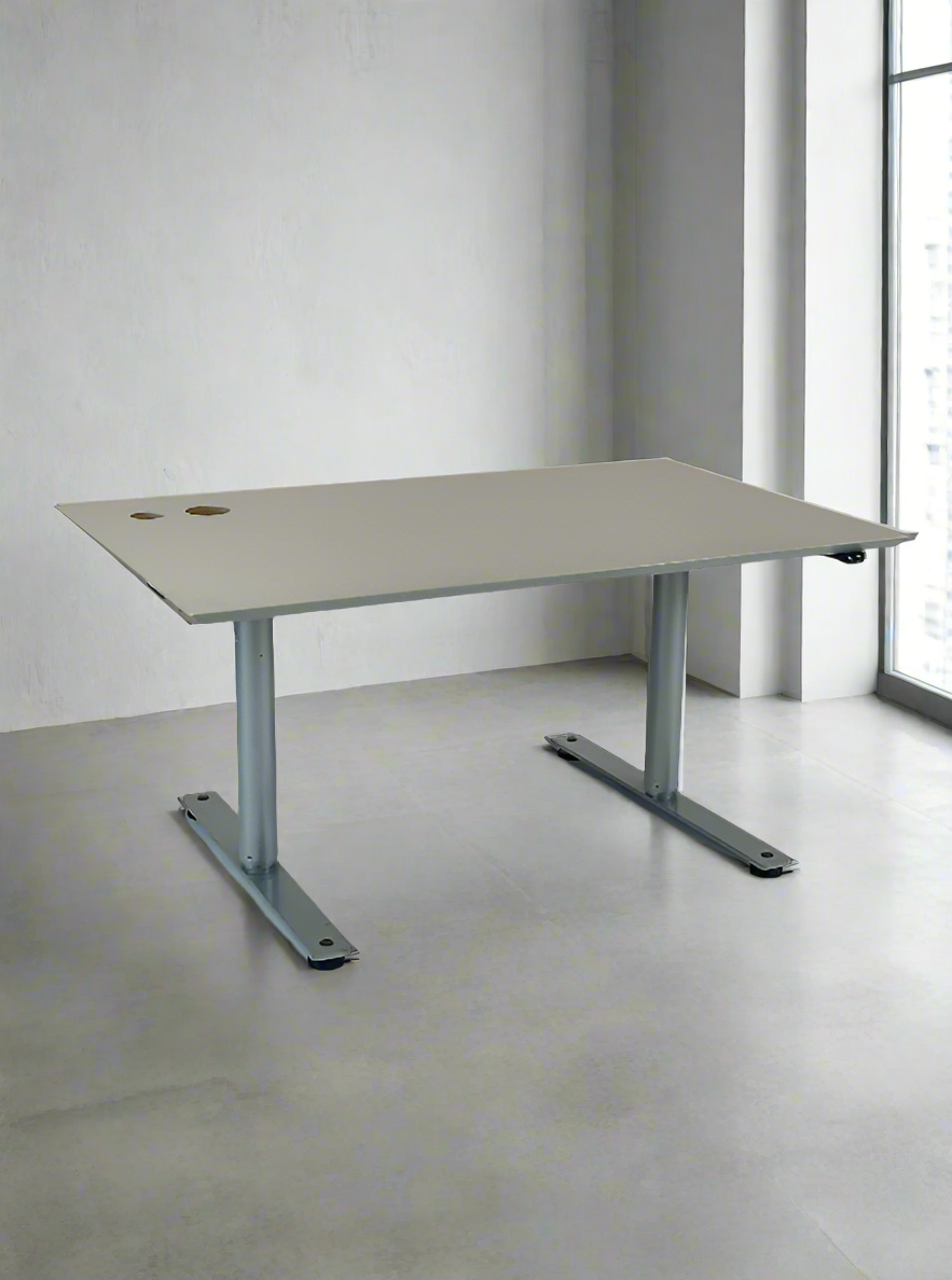 Hæve-/sænkebord 120x80 - Linak (Grå)